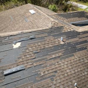 Everett Roof Shingle Replacement